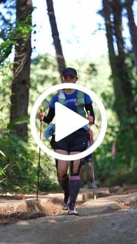 BIB:  <button type="button" onclick="openModal(26787886)" class="btn btn-primary btn-sm float-right" data-toggle="modal" data-target=".modal-high-quality">
                <i class="fa fa-download"></i> Download
                </button>